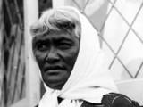 Māori and the First World War
