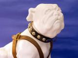 Pooch, the mascot