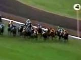 Kiwi wins the 1983 Melbourne Cup