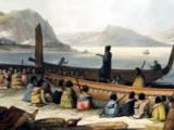 The Musket Wars