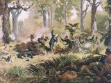 Death of Von Tempsky painting