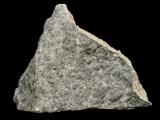 Trilobite limestone found by Malcolm Simpson
