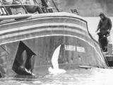 Sinking of the Rainbow Warrior