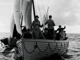 Survivors from the Niagara