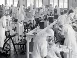 Trainee dental nurses for the School Dental Service practise on Wellington schoolchildren