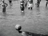 Opo the dolphin and admirers, Opononi, 1956