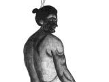Drawing of Ranginui