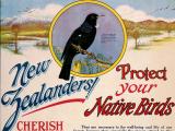 New Zealand Native Bird Protection Society poster, 1920s