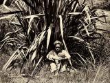 Flax worker from the New Hebrides