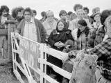 Protesters at Bastion Point