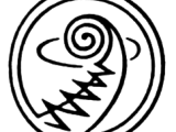 Netball New Zealand