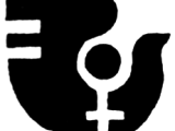 New Plymouth Women’s Centre
