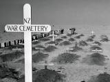 New Zealand war cemetery near El Alamein, 1942
