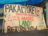 Mana motuhake: Images of Māori resistance to colonisation