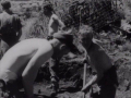 Kayforce artillery training in New Zealand, 1950