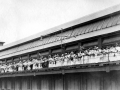 Census staff welcoming ship