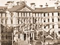 Deaprtmental buildings, Wellington