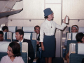 Aircraft disinsection