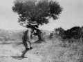 Advancing near Hill 60
