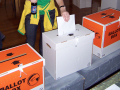 Casting a special vote, 2008