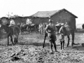New Zealand and Allied troopers at the village of Surafend. Image courtesy of the Alan Hall Collection, WW100
