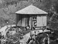 Maungapōhatu School, c. 1921