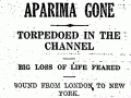 Report on the loss of the <em>Aparima</em>