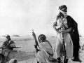 Arab warriors in desert
