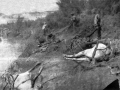 Dead horses by the River Jordan