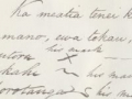 Bay of Plenty treaty copy