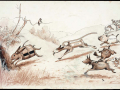 Brewer rabbit cartoon
