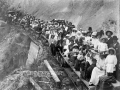 Logging train with picnic party, 1911