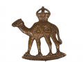 New Zealand Imperial Camel Corps hat badge