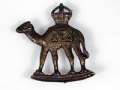 Imperial Camel Corps