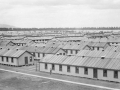 Influenza at Featherston military camp