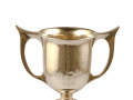 The Freyberg Cup