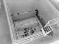 Stowing frozen carcasses on the <em>Port Caroline</em>