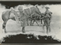 Trooper and horse