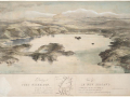 Port Nicholson painting