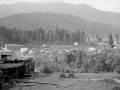 Seddonville