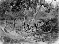 New Zealand gunners near Le Quesnoy, 1918