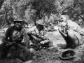 Soldiers shelter amongst olive trees on Crete