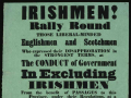 Irish protest poster 