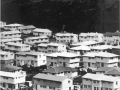 State houses in Porirua East