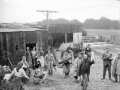 Services vegetable production project, 1943