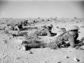 New Zealand troops training in Egypt