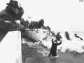 Lifeboat at <em>Wahine</em> disaster