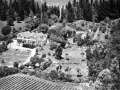 Peloha Grounds - Radiant Living