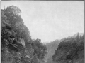 Whanganui River, 1908