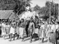 The Cobhams visit the Cook Islands